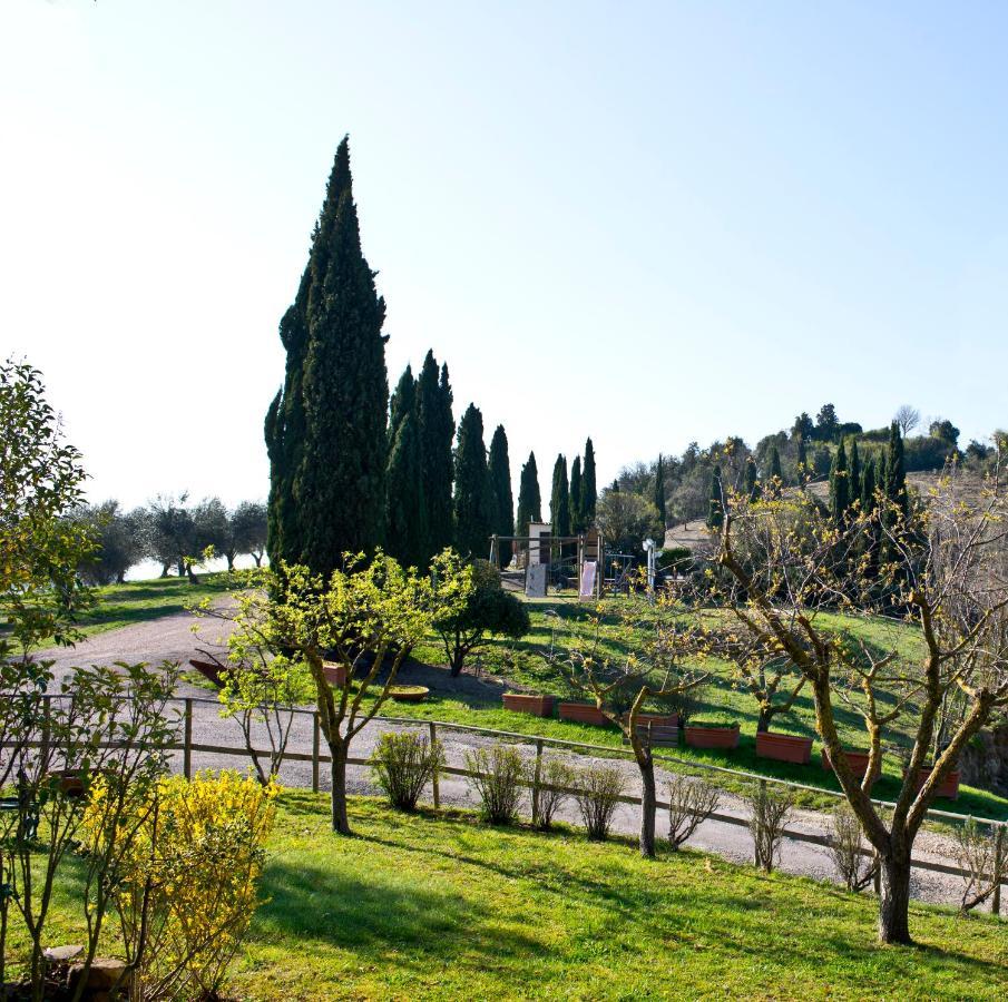 Agriturismo Torre Burchio Bettona Exterior foto